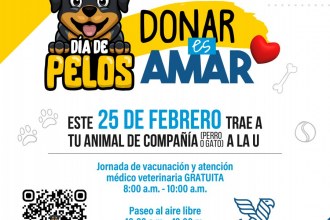 DÍA DE PELOS - TRAE TU ANIMAL DE COMPAÑÍA (PERRO O GATO) A LA U