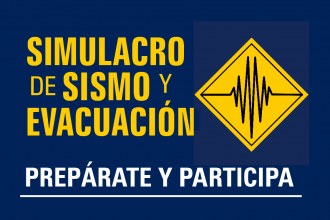 Simulacro Institucional