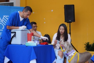 Día de Pelos, Donar es Amar 