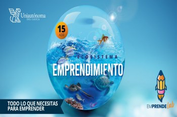 Ecosistema de Emprendimiento: Todo lo que necesitas para emprender. 
