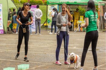 Día mundial del Reciclador
