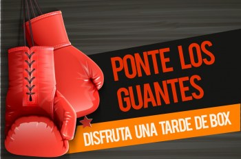 Ponte los guantes y disfruta una tarde de box