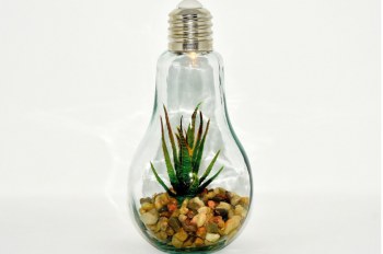 I Simposio en Innovación Social en torno al aprovechamiento de residuos sólidos